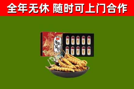 海港区回收冬虫夏草价格